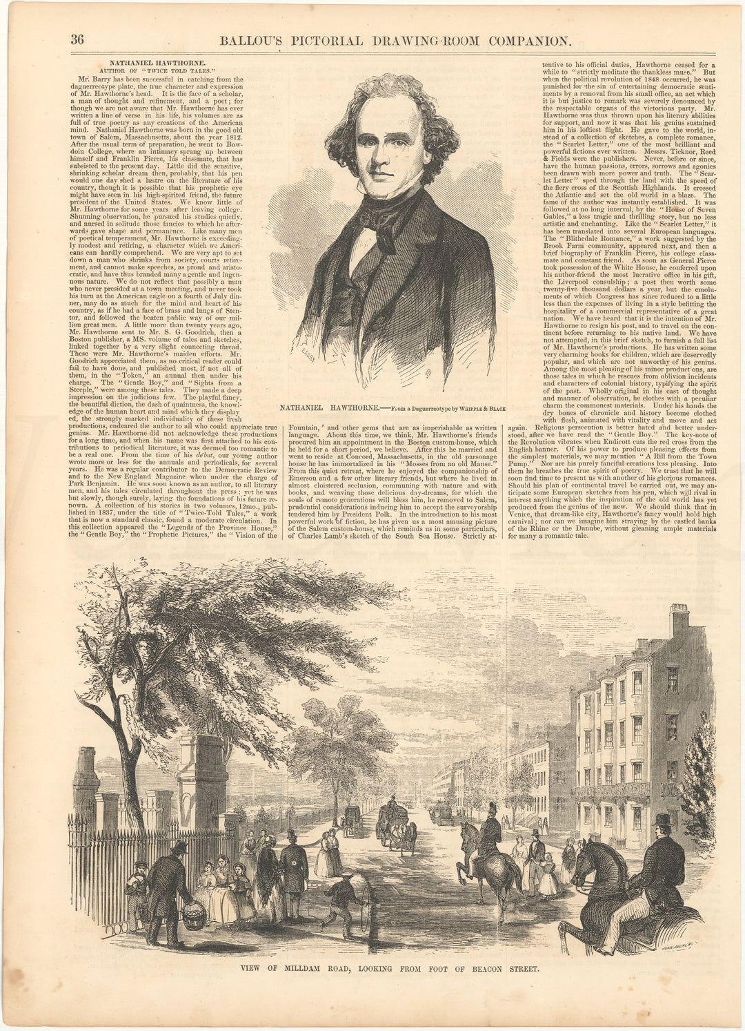 Ballou's Pictorial Vol IX 1855 July-Dec pp 036: Milldam Road at Foot of Beacon Street, Boston, Massachusetts