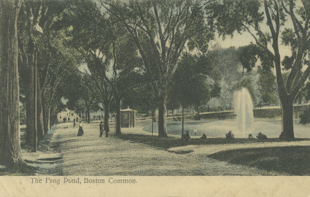 Boston Common, Boston, Massachusetts 10