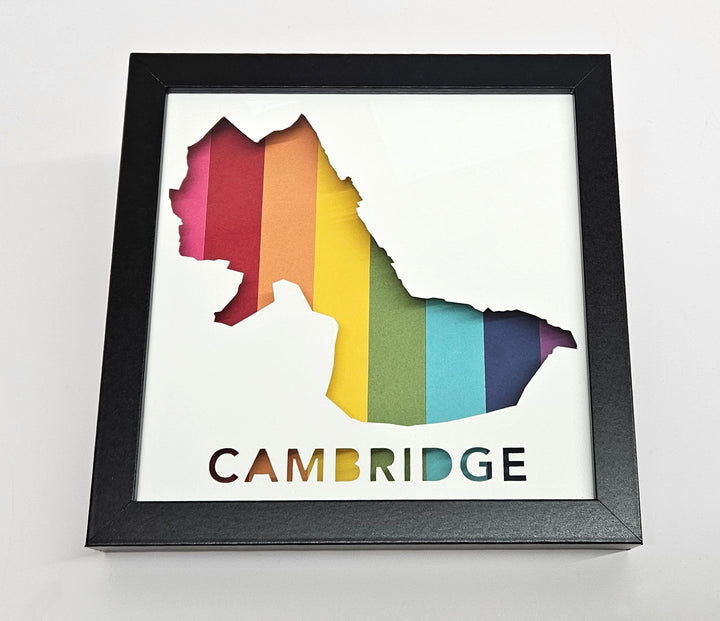 Cambridge, Massachusetts Framed 3D City Art