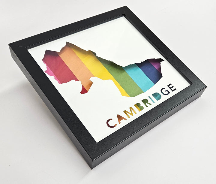 Cambridge, Massachusetts Framed 3D City Art