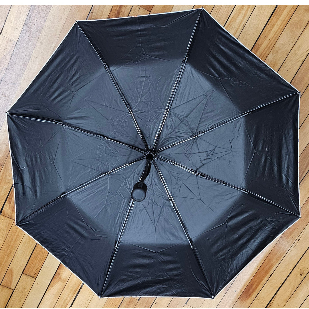 NEW! Boston MBTA Map Umbrella
