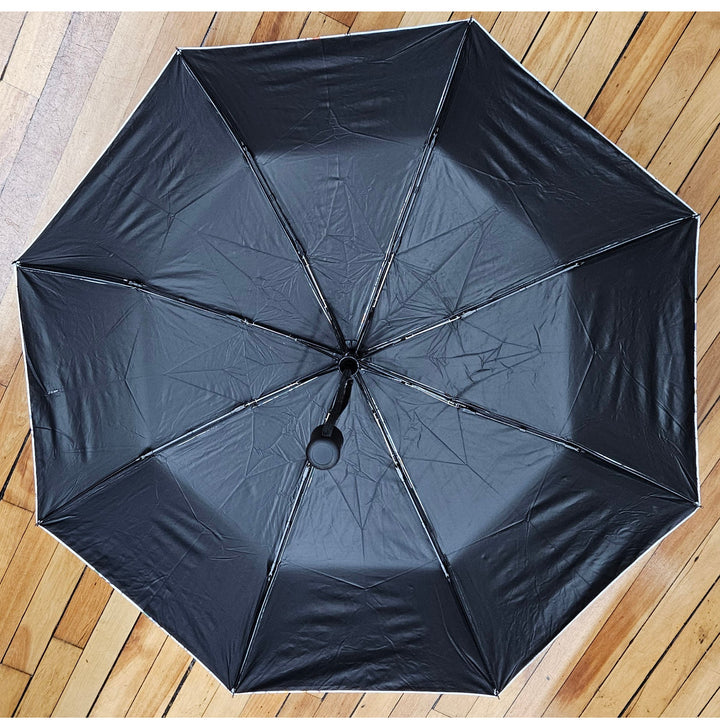 NEW! Boston MBTA Map Umbrella