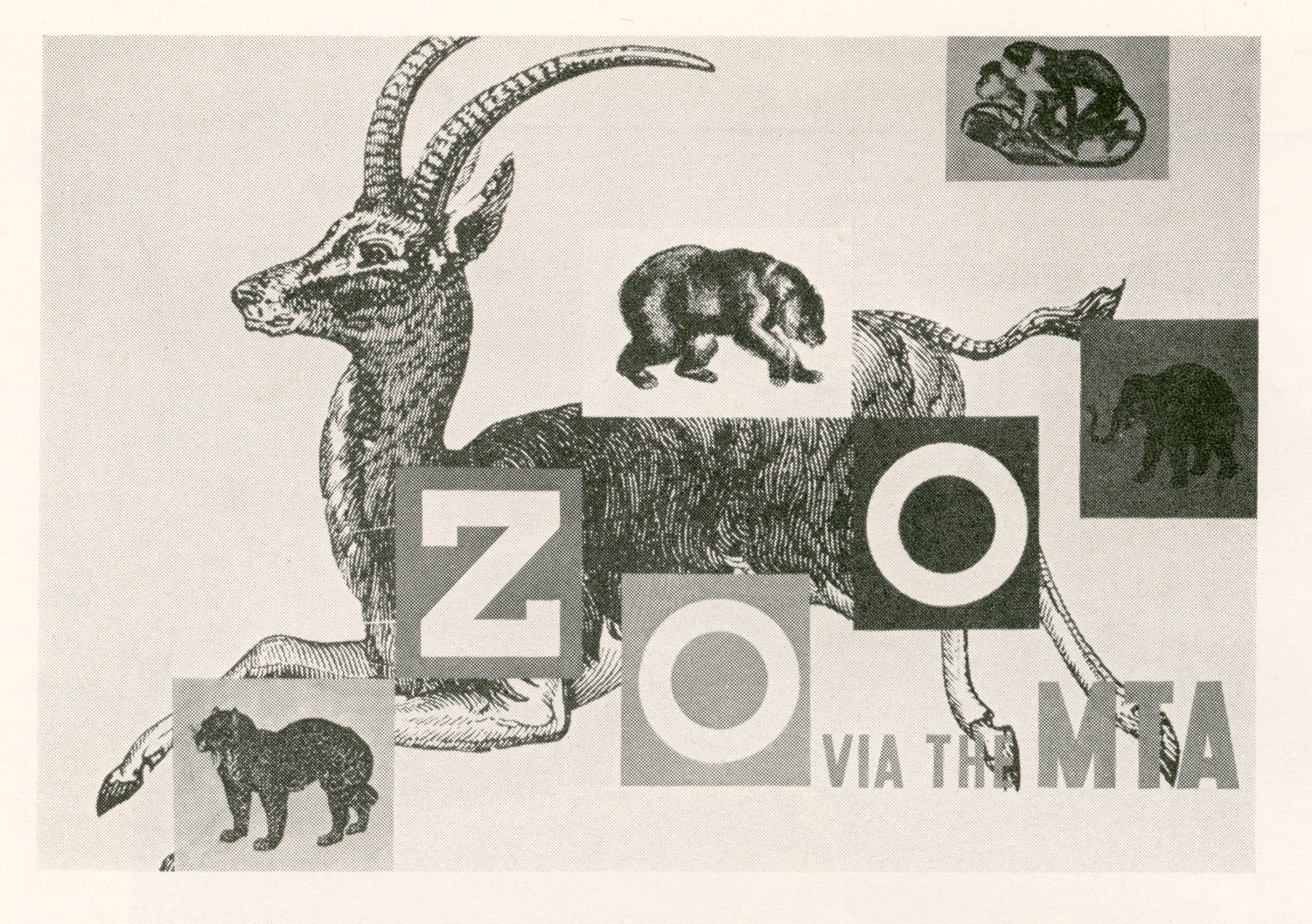 Vintage Boston MTA Advertisemet: Zoo via the MTA
