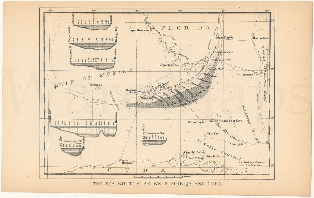 The Sea Bottom Between Florida and Cuba 1879