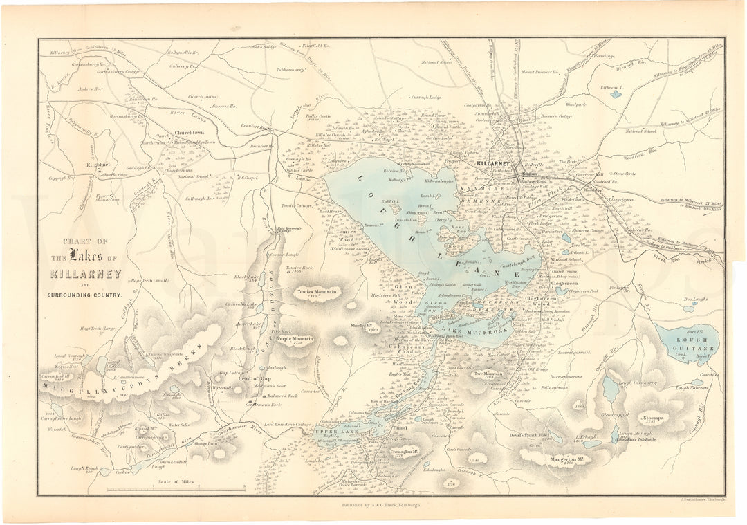 Lakes of Killarney and Surrounding Country, Ireland 1877