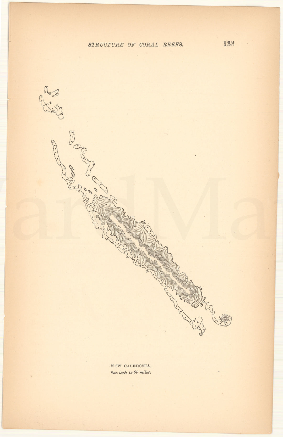 New Caledonia Reef, New Caledonia, France 1879