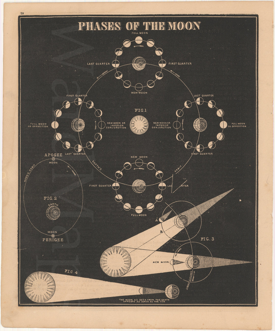 Phases of The Moon 1868