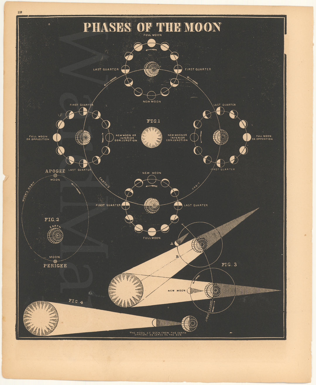 Phases of The Moon 1851