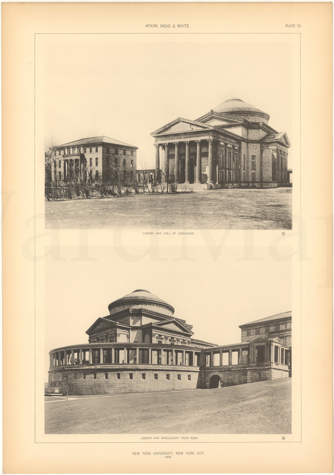 McKim, Mead & White Plate 076: New York University, New York, NY 1896