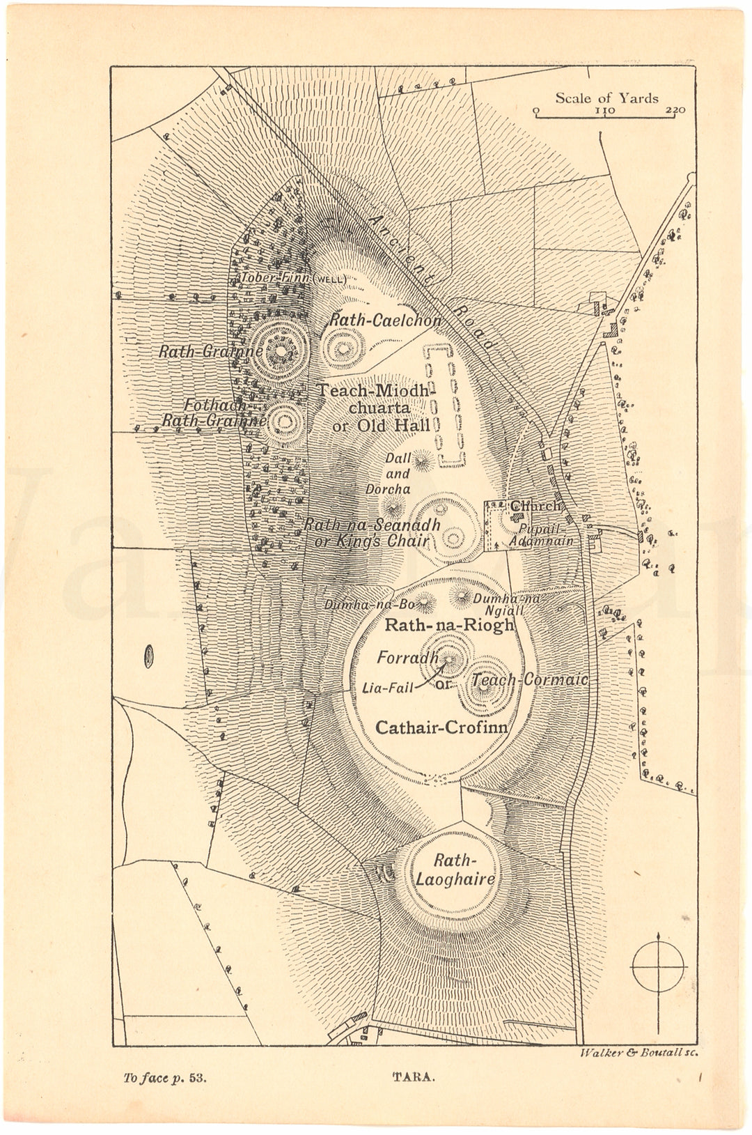 Hill of Tara, Ireland 1902
