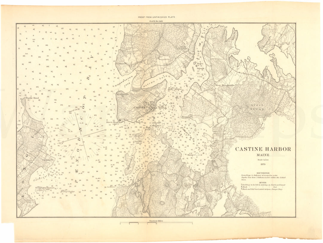 Castine Harbor, Maine 1879 (USCS)