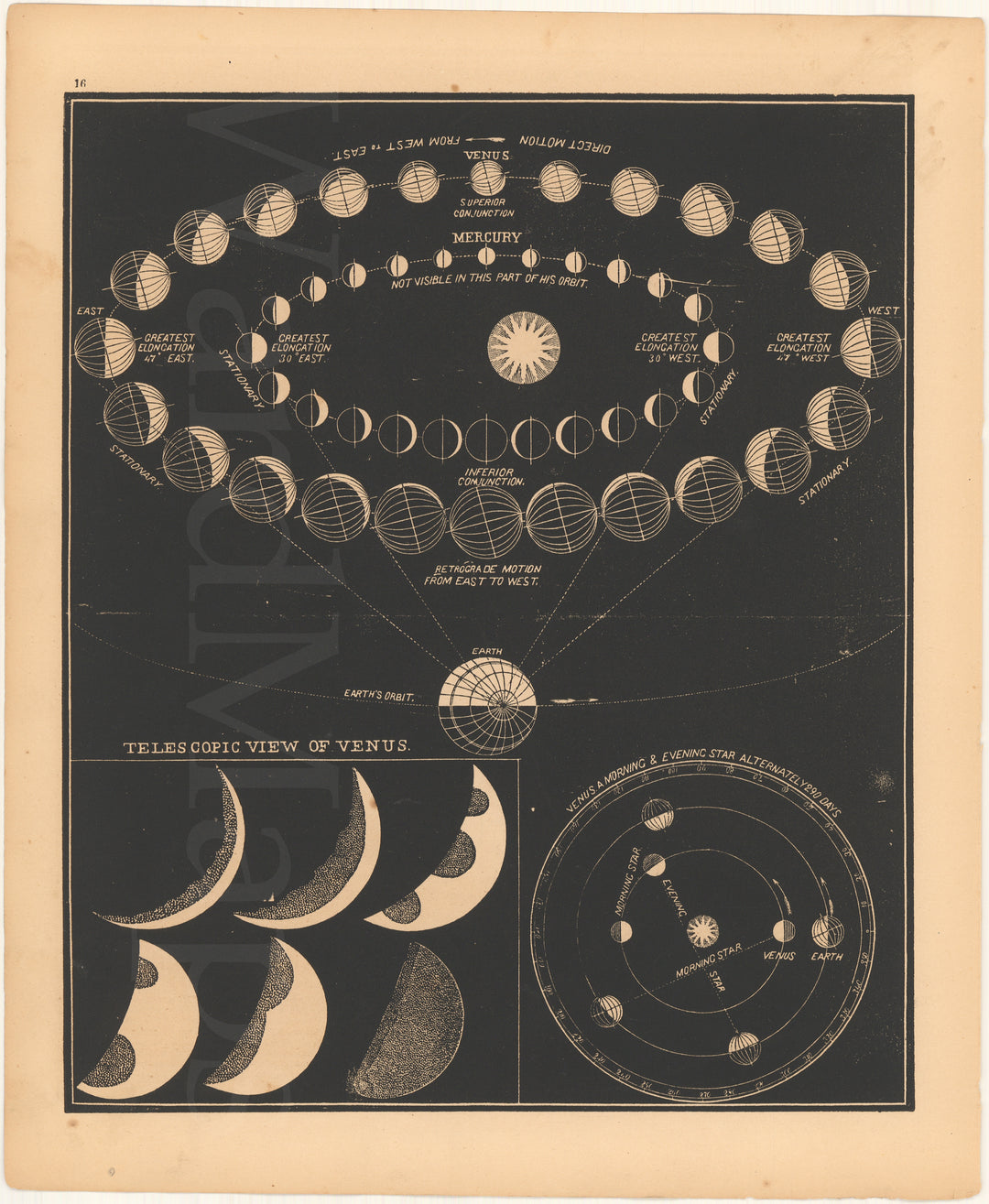 Mercury and Venus 1851