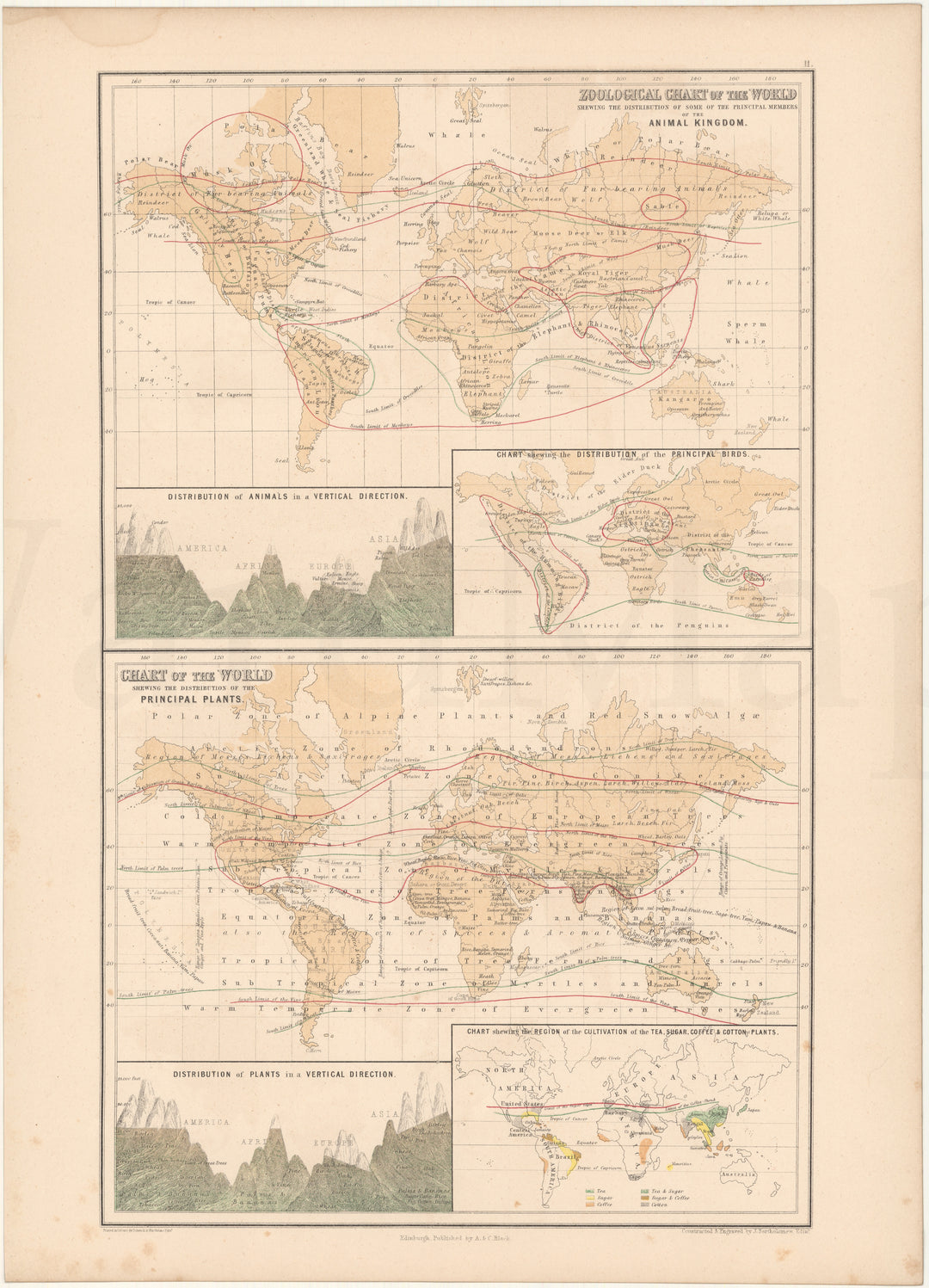 World 1857: Animals and Plants
