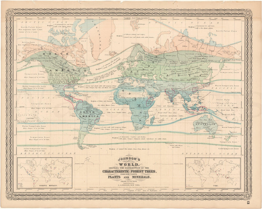 World Forest Trees, Plants, and Minerals 1870