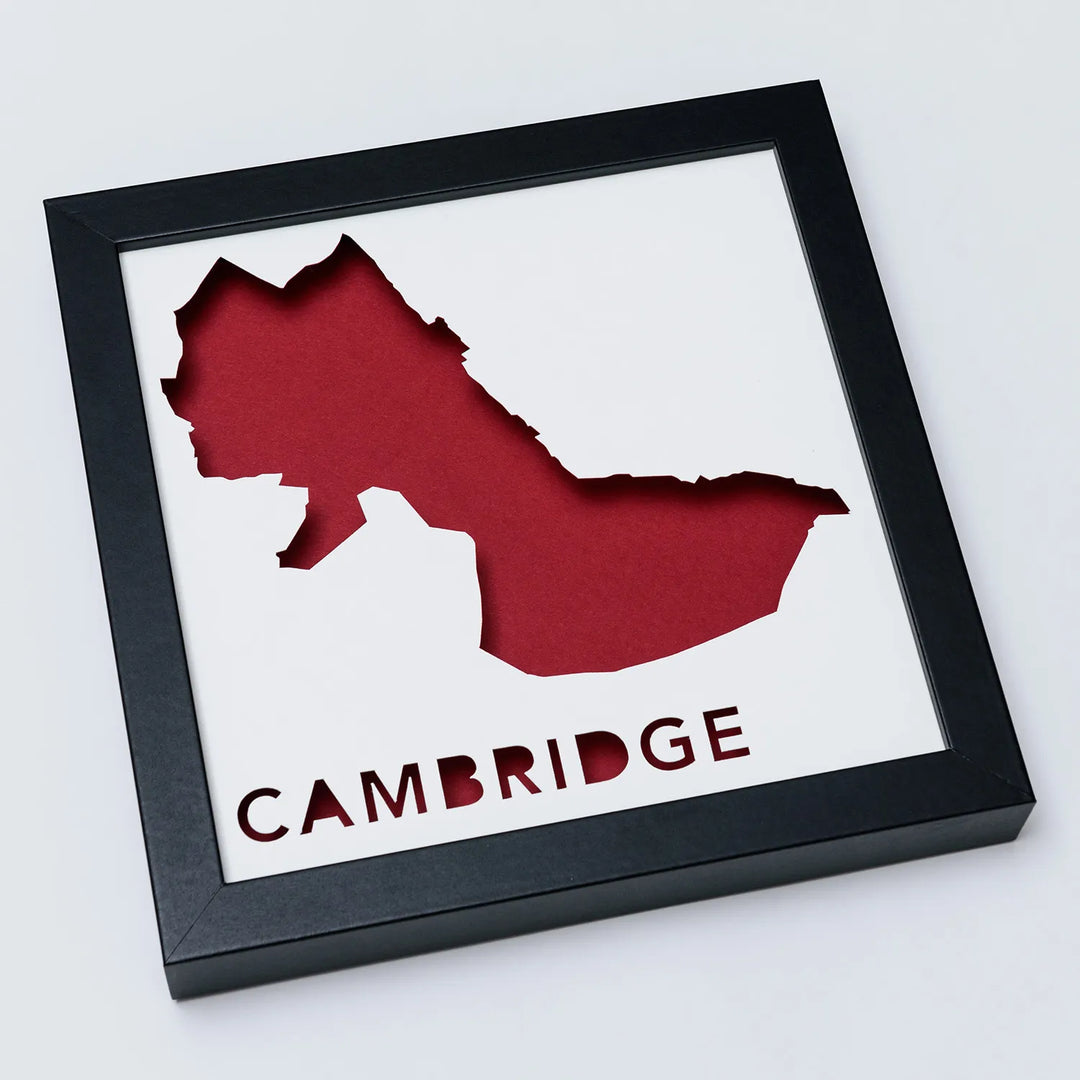 Cambridge, Massachusetts Framed 3D City Art