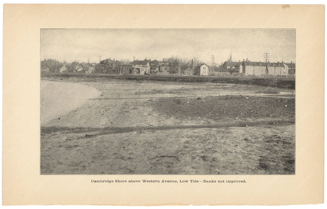 Charles River Dam Report 1903: Shore Above Western Ave., Cambridge, Massachusetts