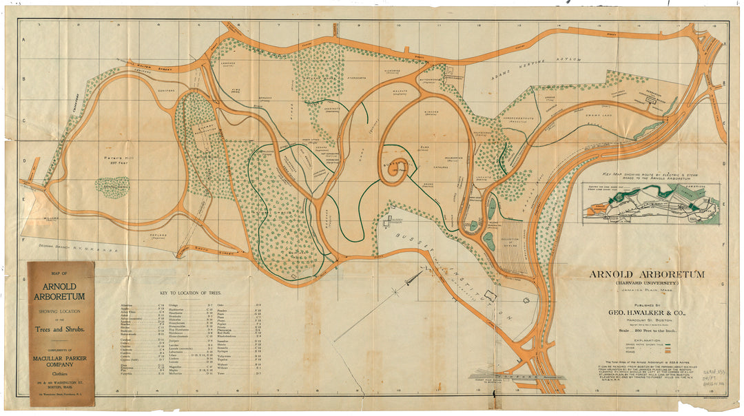 Arnold Arboretum, Boston circa 1900