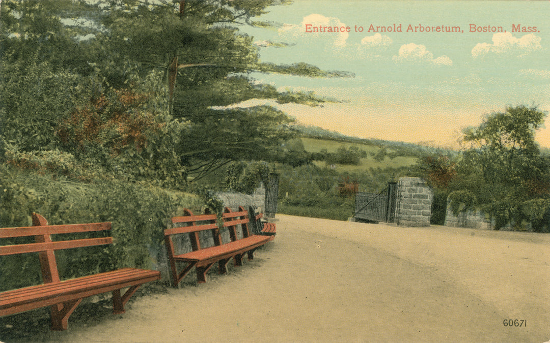 Arnold Arboretum Entrance, Boston, Massachusetts 01