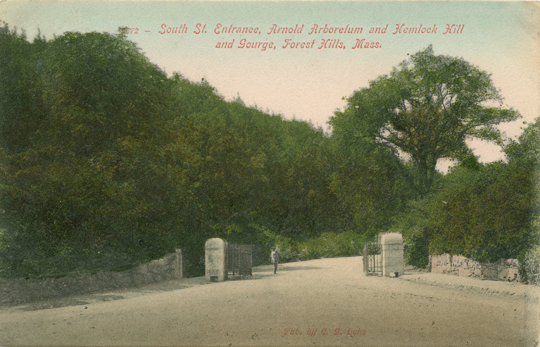 Arnold Arboretum Entrance, Boston, Massachusetts 02