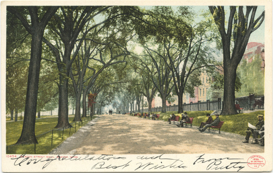 Boston Common, Boston, Massachusetts: Beacon Street Mall 01