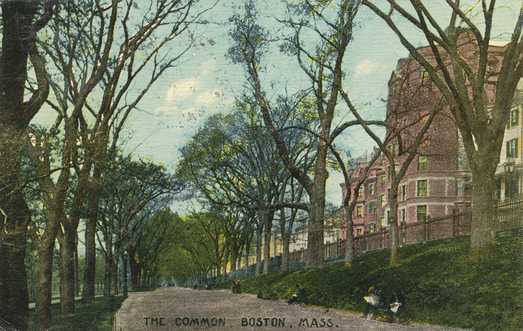 Boston Common, Boston, Massachusetts 02