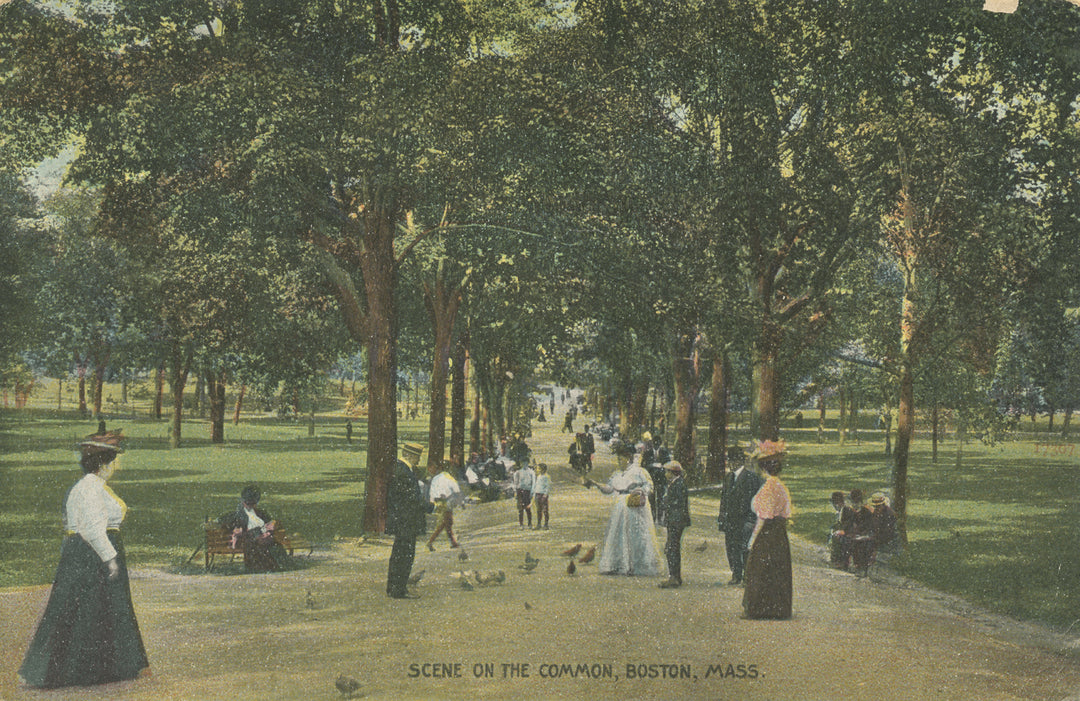 Boston Common, Boston, Massachusetts 05