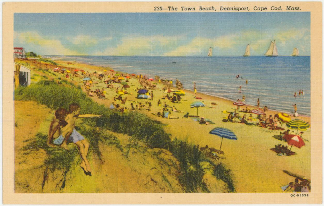 Town Beach, Dennisport, Massachusetts – WardMaps LLC