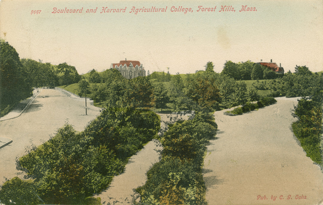 Forest Hills Boulevard, Boston, Massachusetts 01