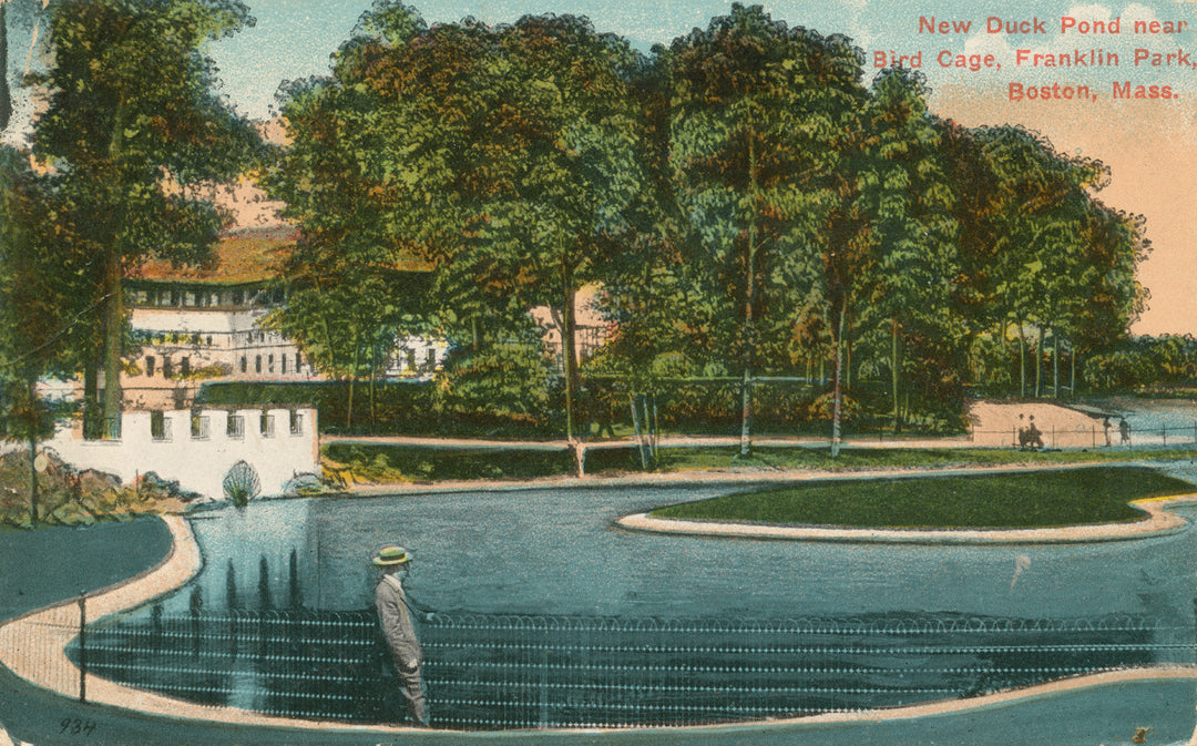 Franklin Park, Boston, Massachusetts: Duck Pond 02