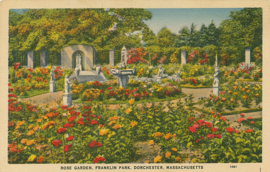 Franklin Park, Boston, Massachusetts: Rose Garden