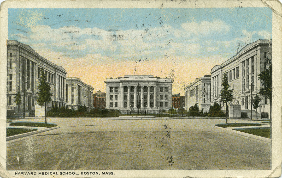 Harvard Medical School, Boston, Massachusetts 01