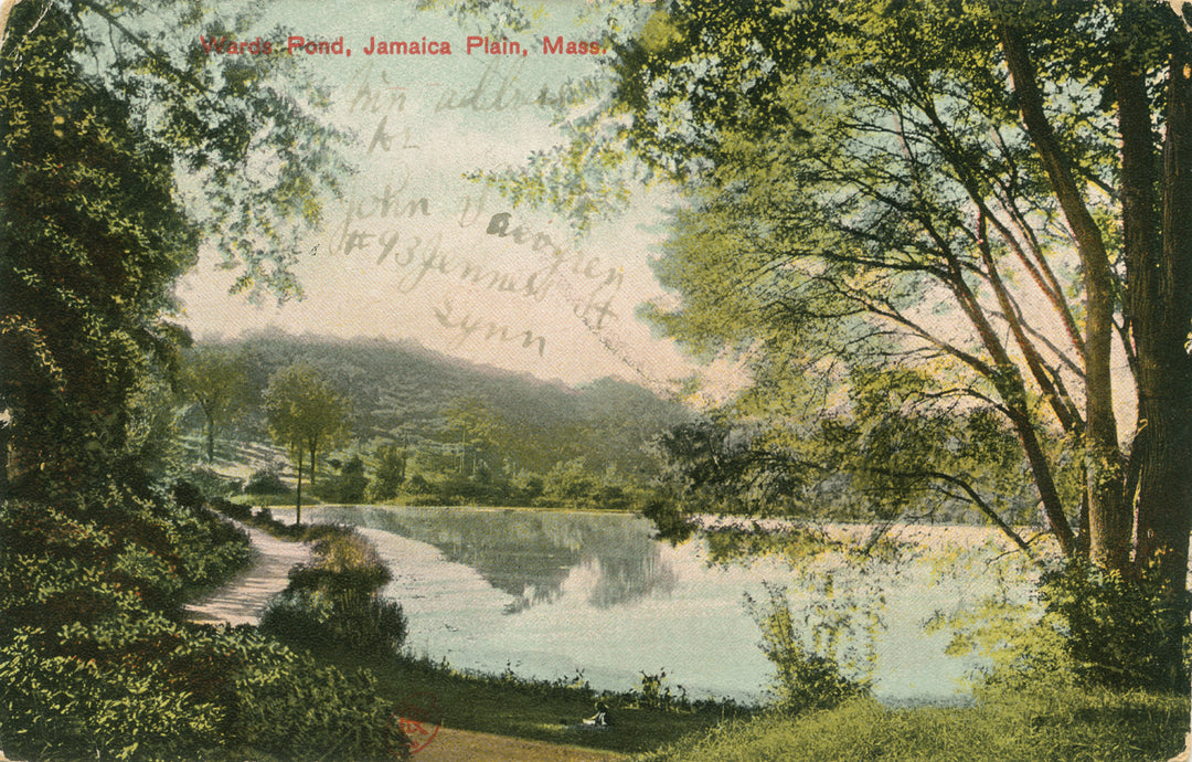 Wards Pond, Jamaica Plain, Massachusetts