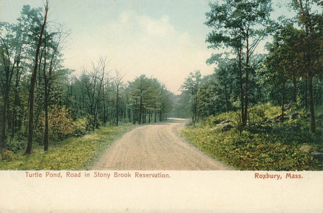Stony Brook Reservation Road, Roxbury, Massachusetts
