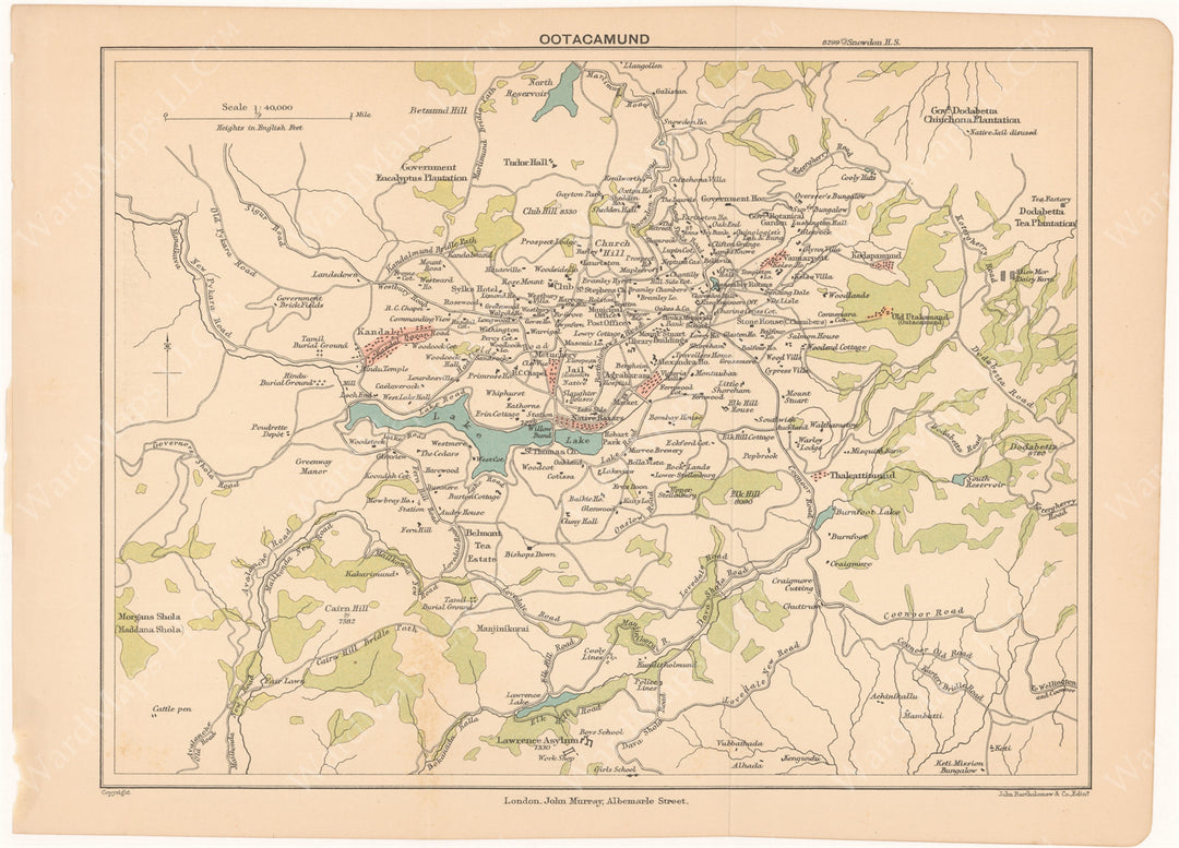 Ootacamund (Ooty) Region, India 1905