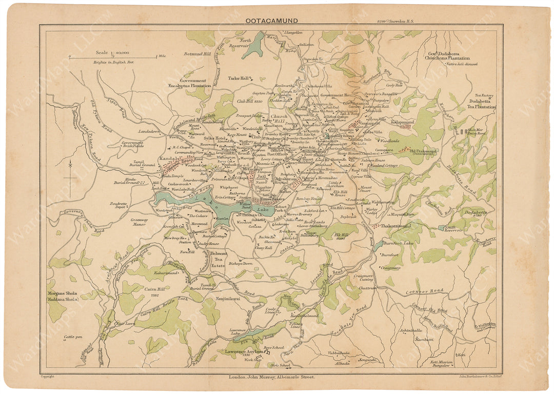 Ootacamund (Ooty) Region, India 1903