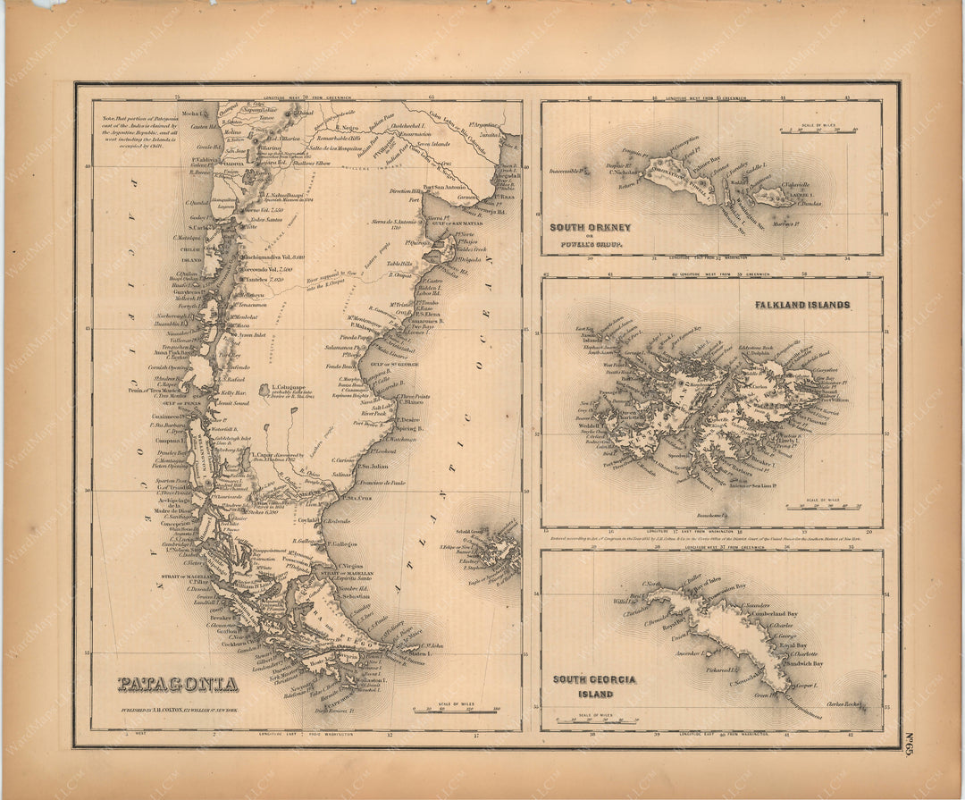 Patagonia, Falkland Islands, Orkney Islands, and South Georgia Island 1857
