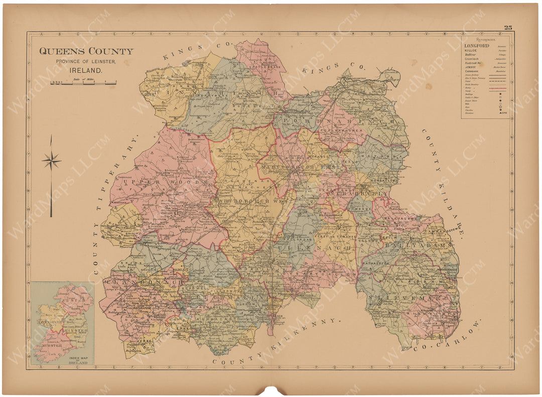 Queens County (County Laois), Ireland 1901