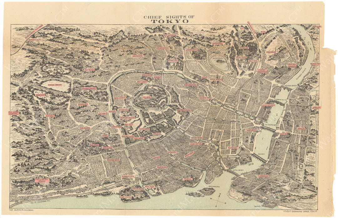 Tokyo, Japan 1894 Bird's Eye View